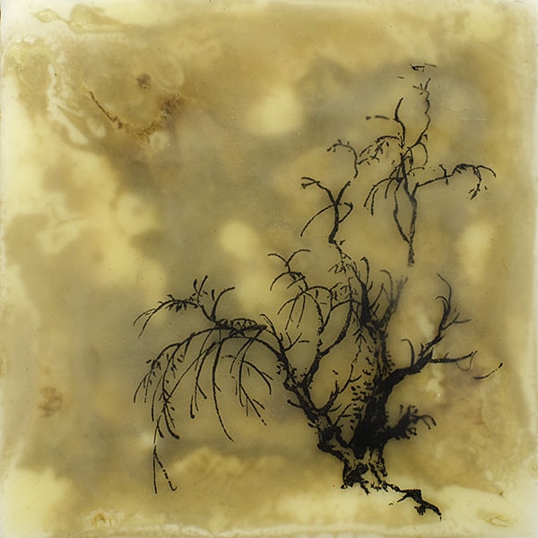 "The Savannah" Encaustic Painting, 2016